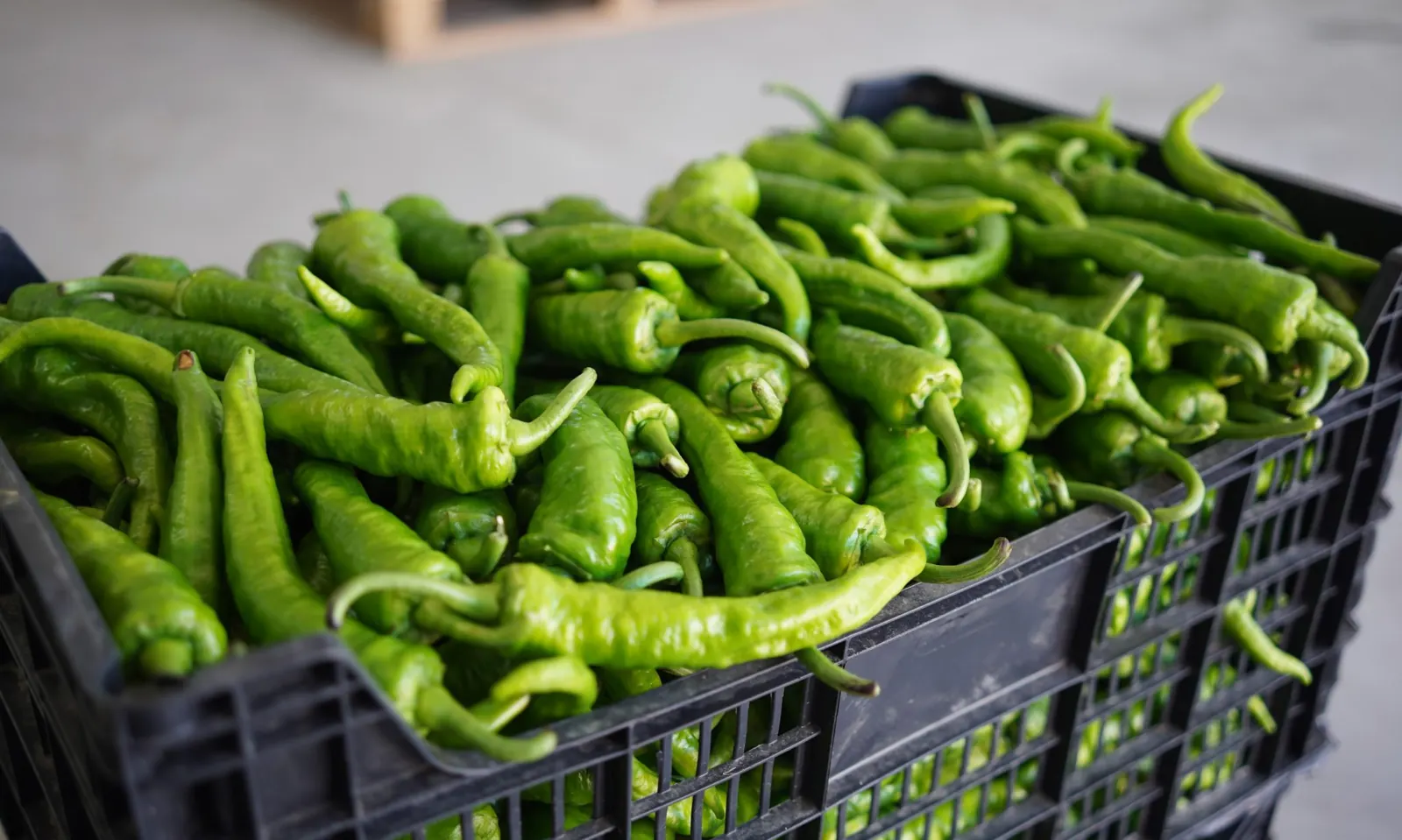 Chiles verdes en una caja de plástico